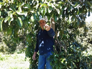 Suteau Biosol – Fruits de Malaga